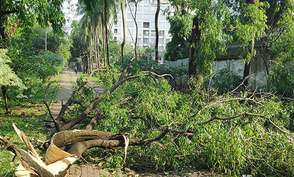 ঝড়-তুফানের সময় যা করবেন